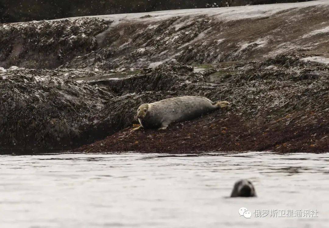 本周最佳图片：10月28日至11月3日-第16张图片-太平洋在线下载