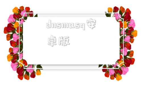 dnsmasq安卓版dns修改器安卓汉化版