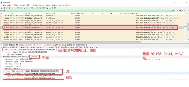 wireshark客户端ip地址抓包工具能抓ip地址吗-第2张图片-太平洋在线下载