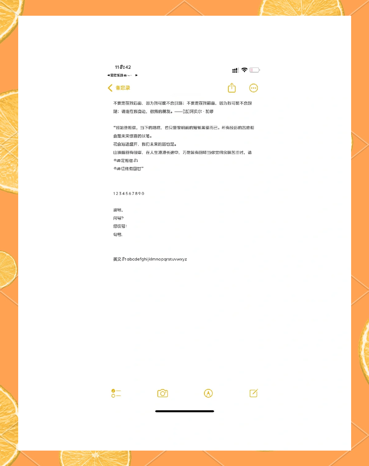 字体拍照教程苹果版(iphone拍照取字)-第6张图片-有道翻译官网