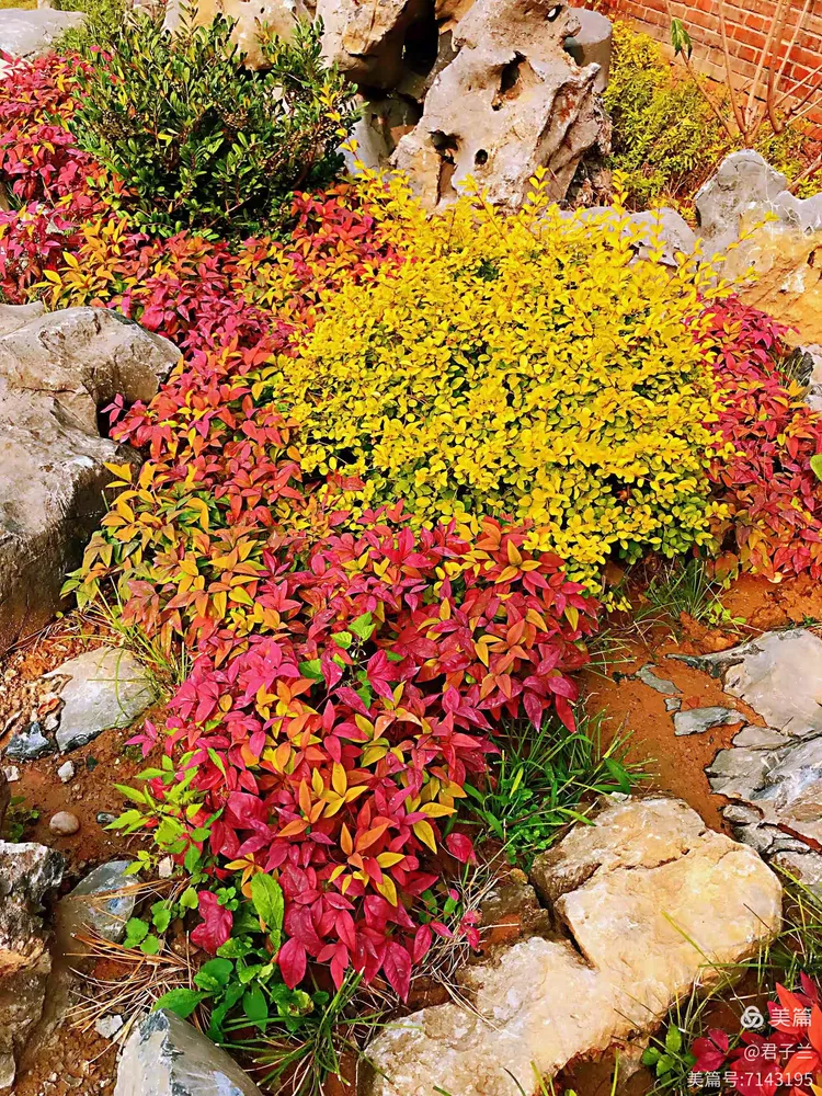 烟雨调色苹果版下载(烟雨调色苹果版下载安卓)-第1张图片-有道翻译官网