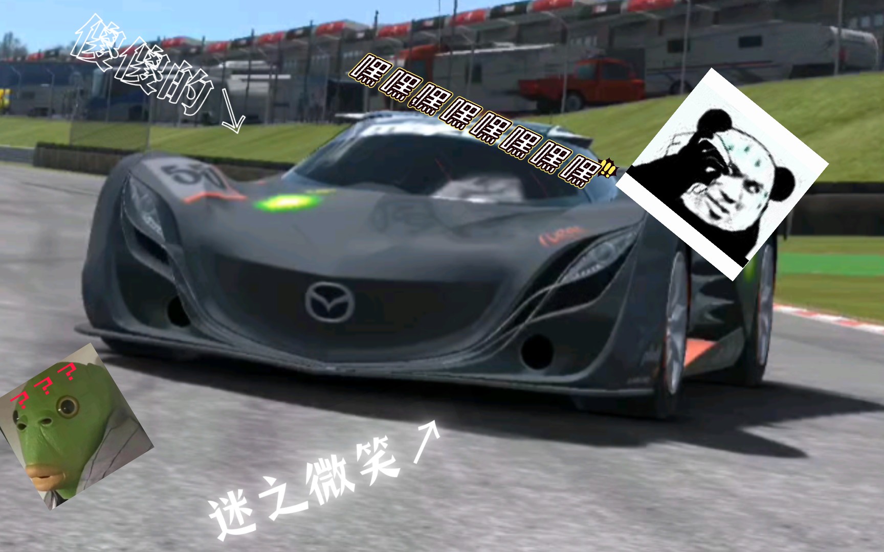 破解版苹果版真实赛车3(ios真实赛车3内购破解)-第15张图片-有道翻译官网